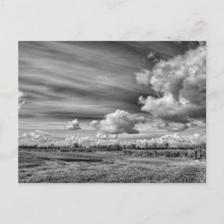 Catching Clouds (B&W) Postcard