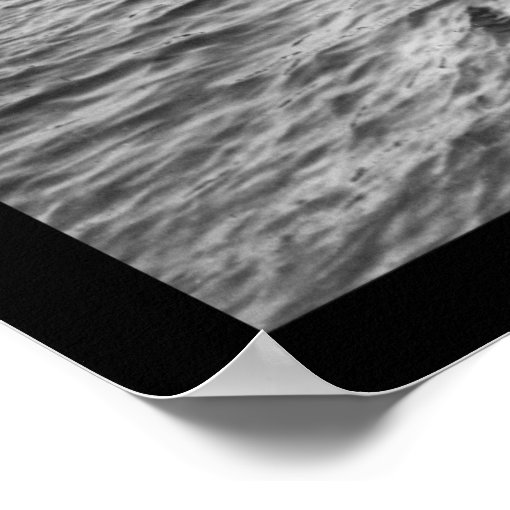 Catching Crabs at Colonial Beach, VA 1914 Poster Zazzle