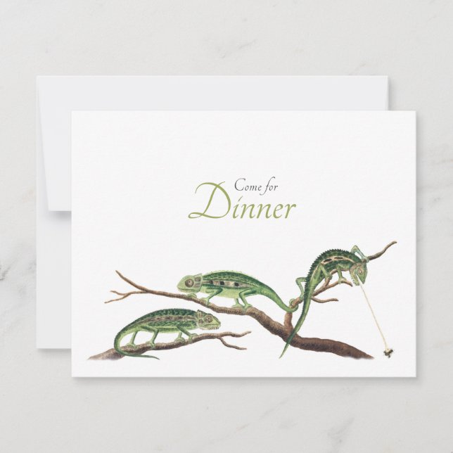 Catching Flies Quirky Dinner Invitation Chameleons (Front)