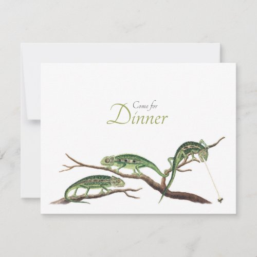 Catching Flies Quirky Dinner Invitation Chameleons