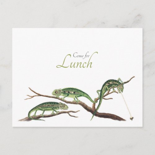 Catching Flies Quirky Lunch Invitation Chameleons Postcard