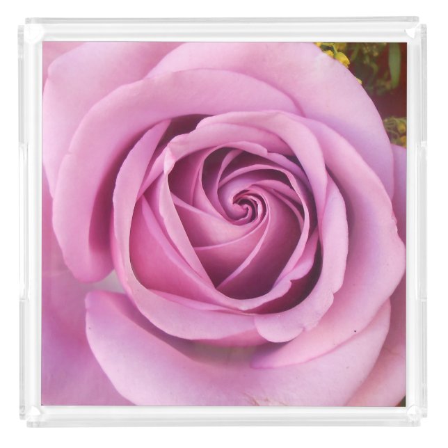 Catejne Acrylic Tray (Front)