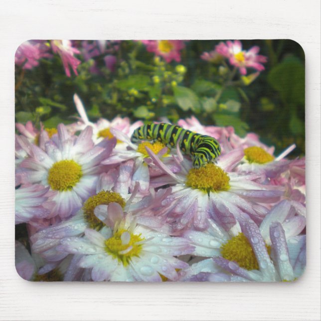Caterpillar and Asters Mousepad (Front)