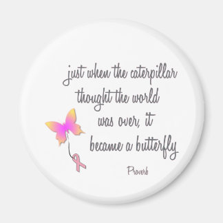 Caterpillar Became a Butterfly Magnet