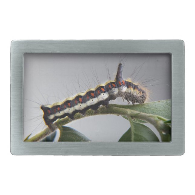 Caterpillar Belt Buckle (Front)
