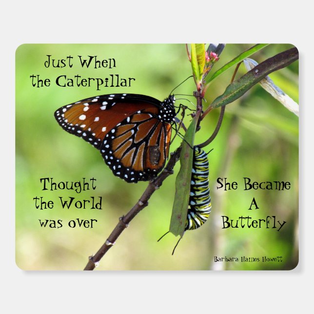Caterpillar / Butterfly Quote Foam Board Poster (Front)
