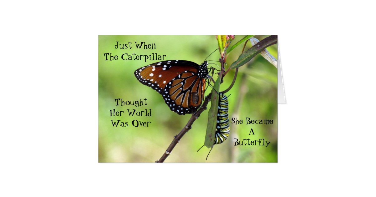 Caterpillar / Butterfly Quote Greeting Card | Zazzle