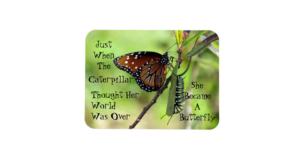 Caterpillar / Butterfly Quote Magnet | Zazzle