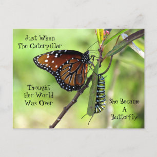 Caterpillar / Butterfly Quote Postcard