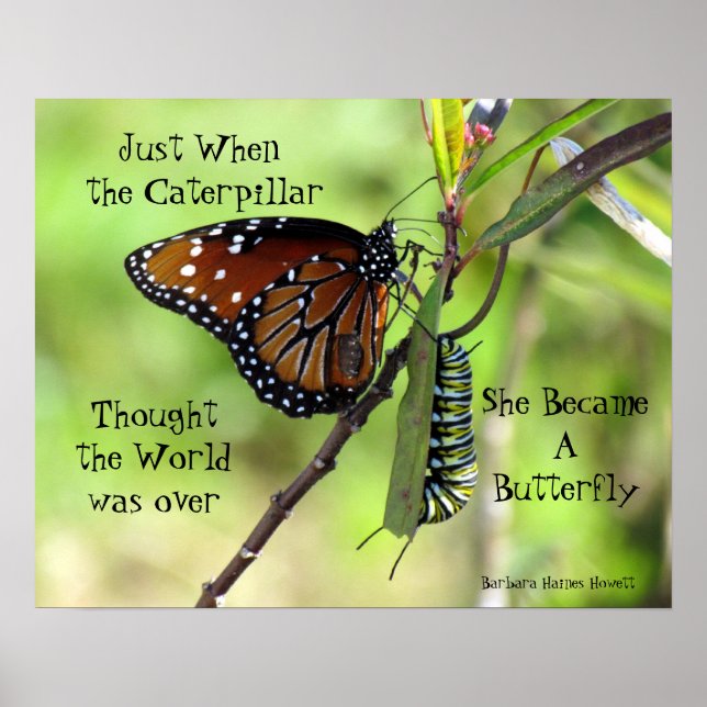 Caterpillar / Butterfly Quote Poster (Front)