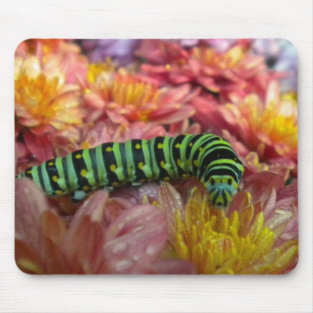 Caterpillar Close up Mousepad (Front)