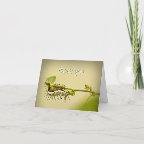 Caterpillar _ Future Butterfly Nature Photo Thank You Card