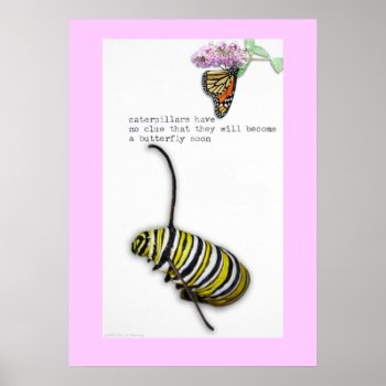 Caterpillar Haiku Poster by erinphotodesign at Zazzle
