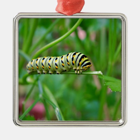 Caterpillar Metal Ornament