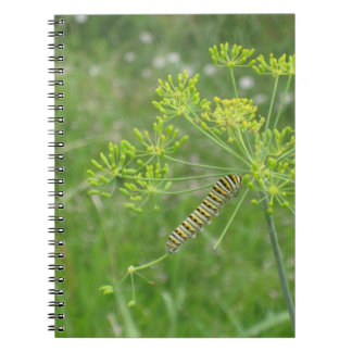 Caterpillar Notebook