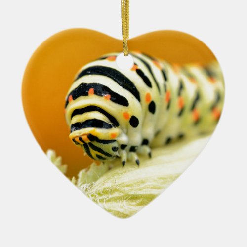 Caterpillar of swallowtail ceramic ornament