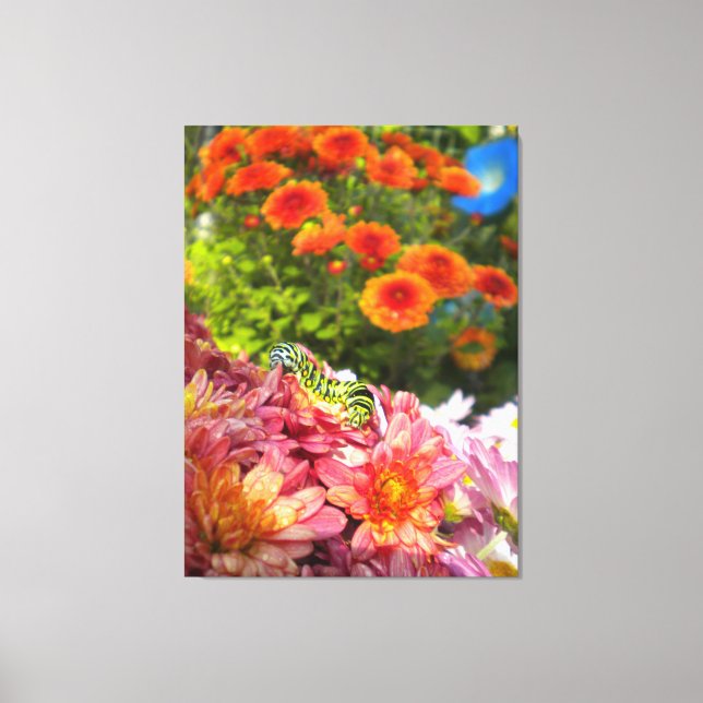 Caterpillar on Mums Wrapped Canvas Print (Front)