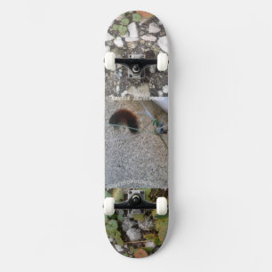 caterpillar on skateboard deck mmetropolim design