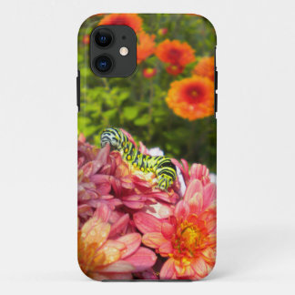 Caterpillar Sunning iPhone 5 case