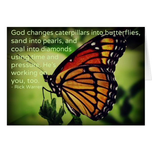 Caterpillars into Butterflies Cards (Front Horizontal)