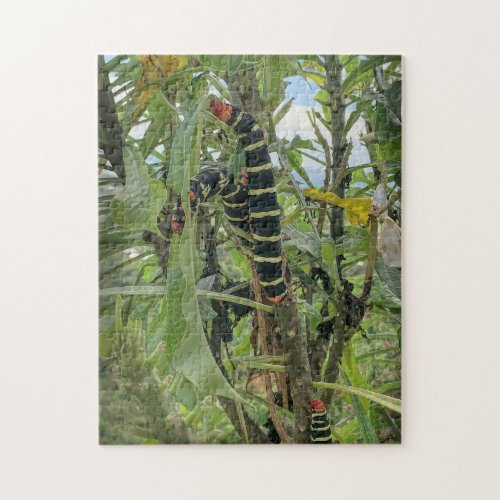 Caterpillars Red Yellow Black Eating Leaves Nature Jigsaw Puzzle