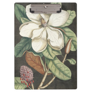 Catesby Vintage Magnolia Botanical Illustration Clipboard