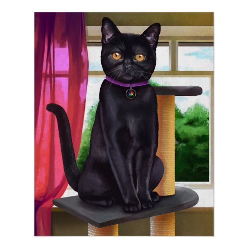 CatFans _ Bombay Black Cat Poster