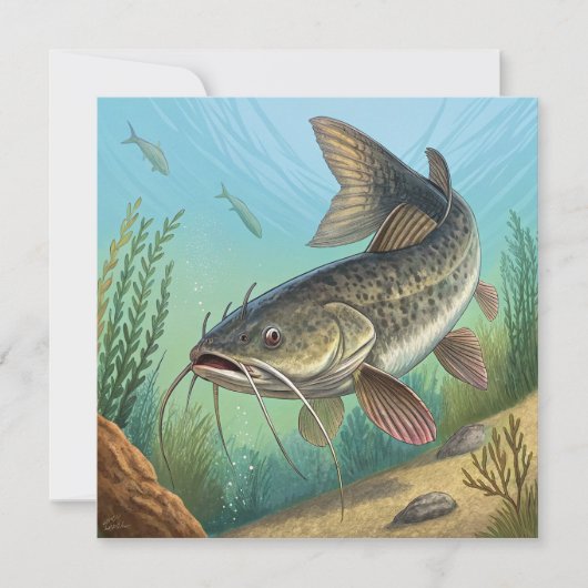 Catfish (Front)