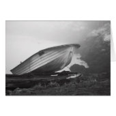 Catfish Blues (Front Horizontal)