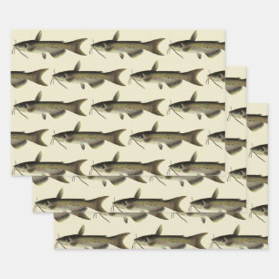 Catfish Fishing, Vintage Marine Life River Fish Wrapping Paper Sheets
