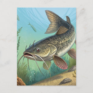 Catfish Holiday Postcard
