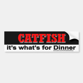 Catfish it's what's for dinner Bumper Sticker
