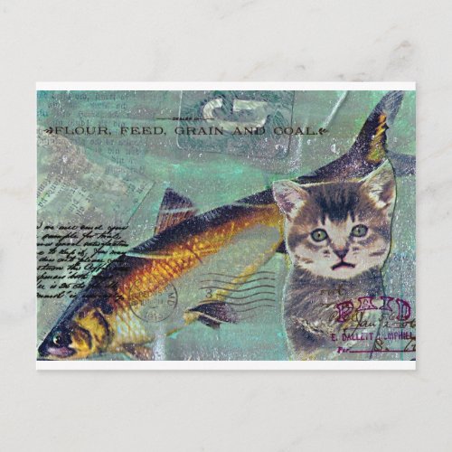 Catfishing Postcard