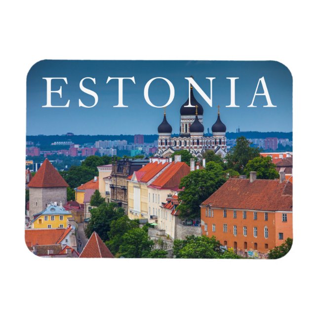 Cathedral and Cityscape | Estonia Magnet (Horizontal)