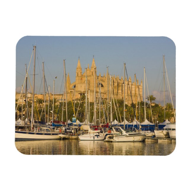 Cathedral and marina, Palma, Mallorca, Spain 2 Magnet (Horizontal)