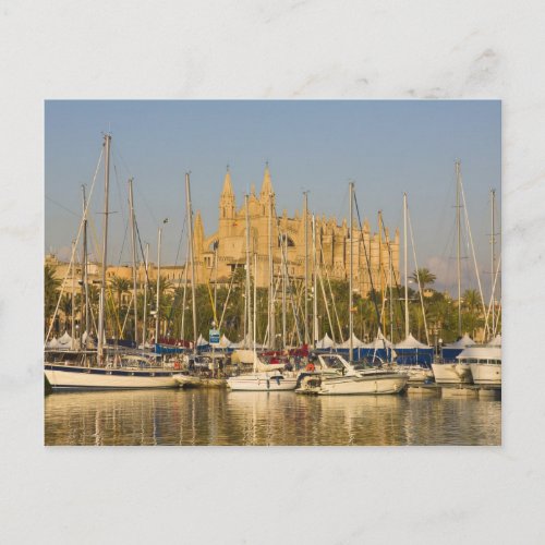 Cathedral and marina Palma Mallorca Spain 2 Postcard