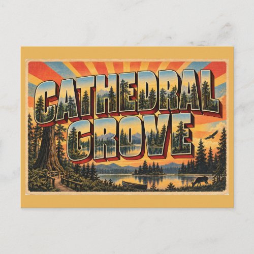 Cathedral Grove BC Old Growth Forest Trees Art Postcard