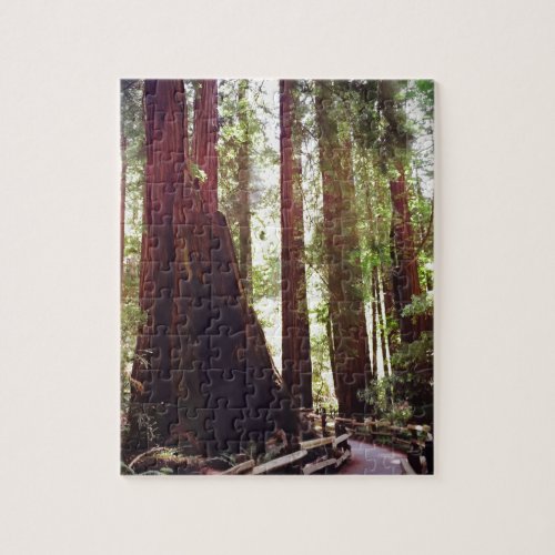 Cathedral Grove Jigsaw Puzzle