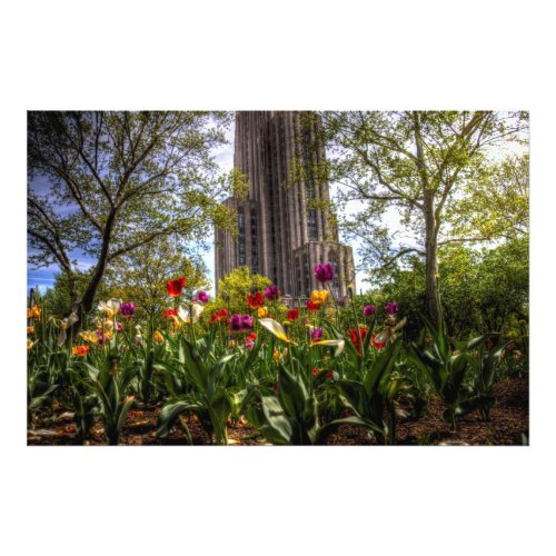 Cathedral of Learning University of Pittsburgh Photo Print