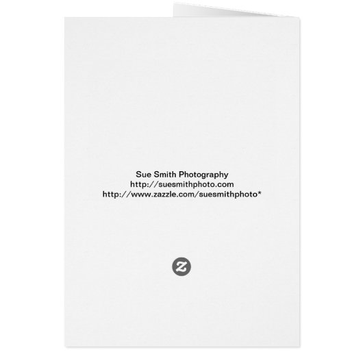 Cathedral of St. Helena, Helena, Montana (Back)