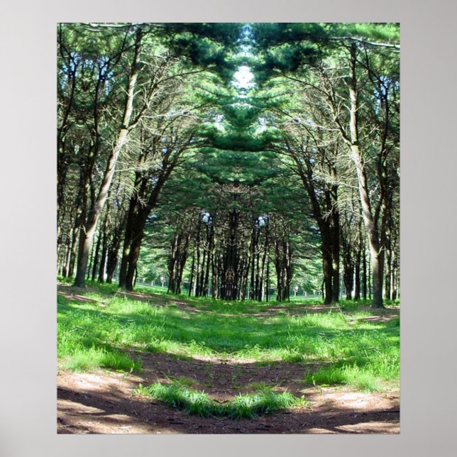 Cathedral of Trees Ken Gage Photo Surrealism Art Poster (Front)