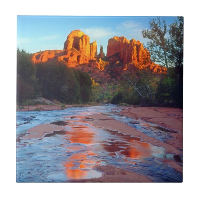 Cathedral Rock reflecting in Oak Creek at Sunset Tile (Front)