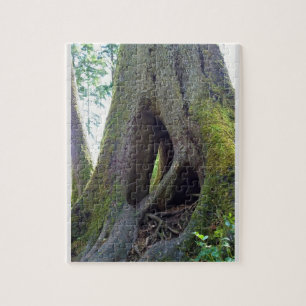 Cathedral Tree, Astoria, Oregon Jigsaw Puzzle