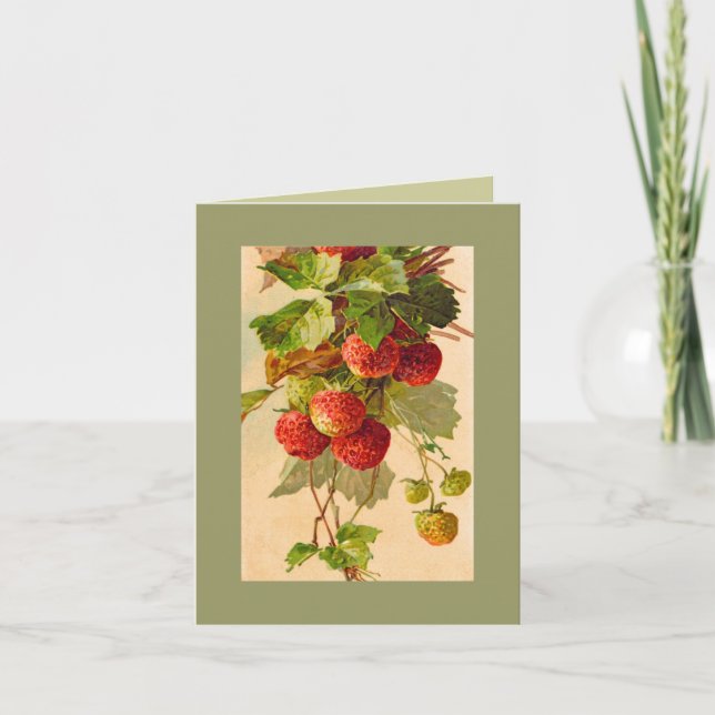 Catherine Klein strawberries NOTE CARD DKGR (Front)