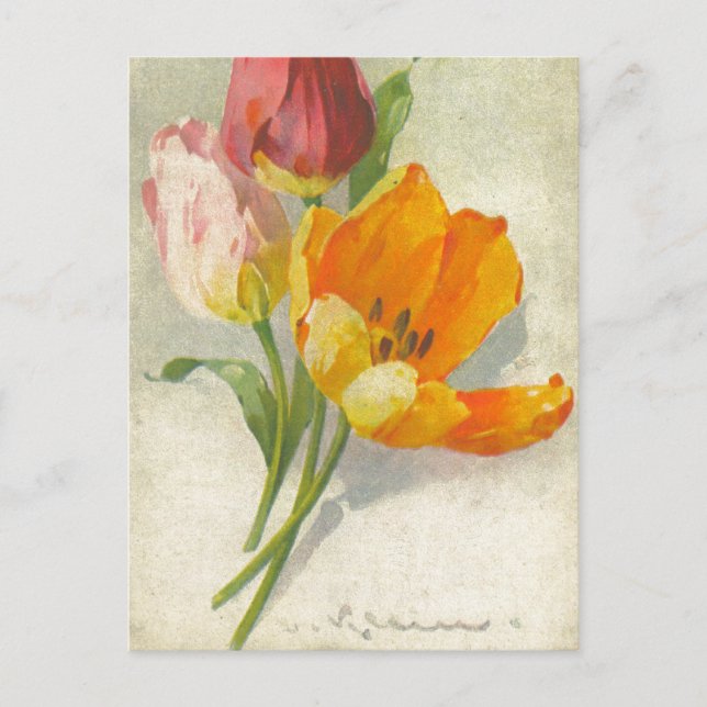 Catherine Klein Vintage Postcard Reproduction (Front)