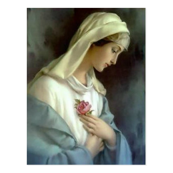 Catholic Blessed Virgin Mary With Rose Postcard 7512