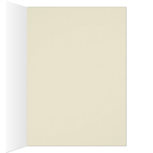 Catholic Spanish Guadalupe Religious Virgin Mary (Inside (Right))