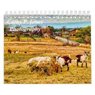 Cathy P. Jones Calendar