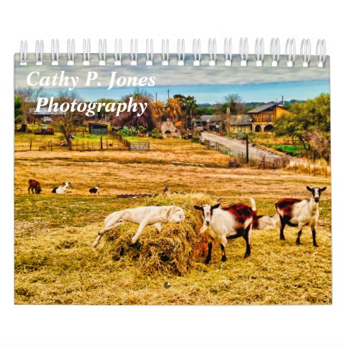 Cathy P Jones Calendar