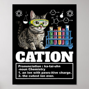 Cation Chemistry Humor Science Teacher Cat Pun Cat Poster